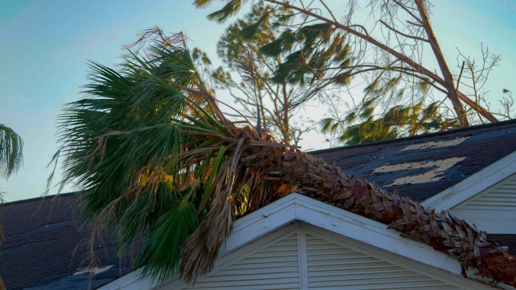 Begin Roofing Work: Get Insurance to Pay