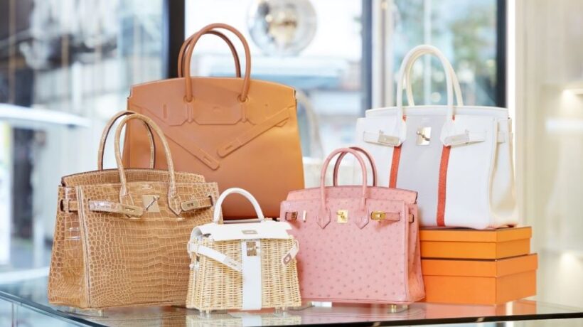 The Timeless Appeal of the Birkin Style Bag